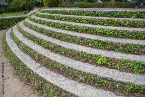 Obraz na płótnie Ivy covered concrete steps w salonie