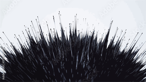 Close-up view of an abstract image featuring a radial pattern of numerous thin, sharp, black lines emanating from a central point against a bright white background. The lines vary slightly in