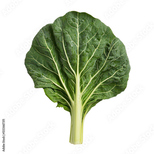 Showcasing fresh vegetables and green leaves a sustainable urban garden in high-quality outdoor photography