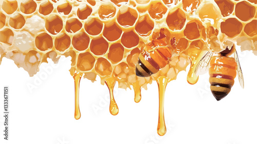 Close-up macro photograph of a section of honeycomb with two bees visible.  The honeycomb is a rich golden-yellow color, and honey is dripping from the bottom edge against a pure white background.