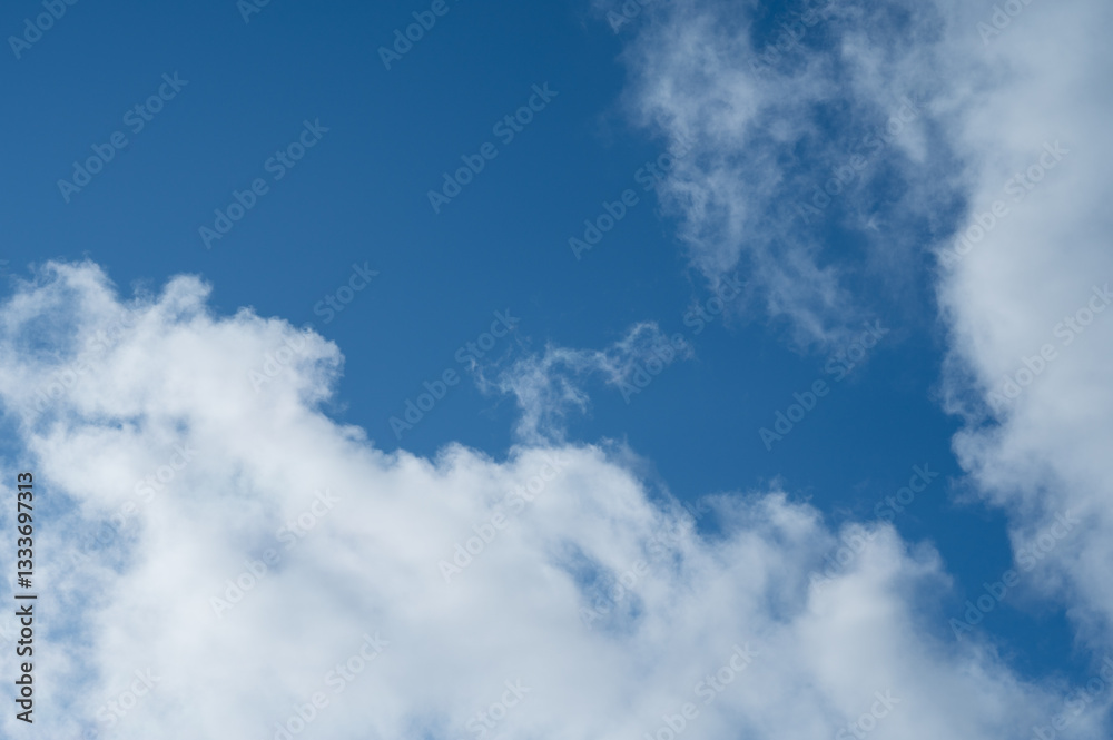 Fototapeta premium 青空