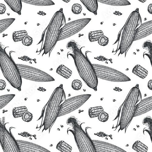 Corn vector seamless pattern. Background with linear sketch of whole corn cobs with leaves, maize pieces and grains. Old drawing in retro engraving style. Hand drawn realistic ink sketch.