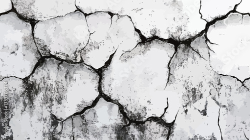Close-up view of a cracked white wall. The image is predominantly monochrome, featuring a variety of irregularly shaped cracks running across the surface.  The cracks are dark grey to black,
