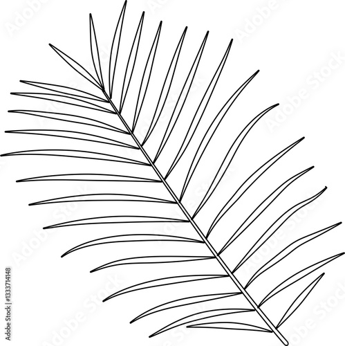 Areca leaf outline vector
