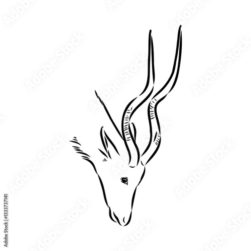Addax standing sideways sketch, realistic animal monochrome drawing, vintage engraving line art