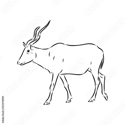 Addax standing sideways sketch, realistic animal monochrome drawing, vintage engraving line art