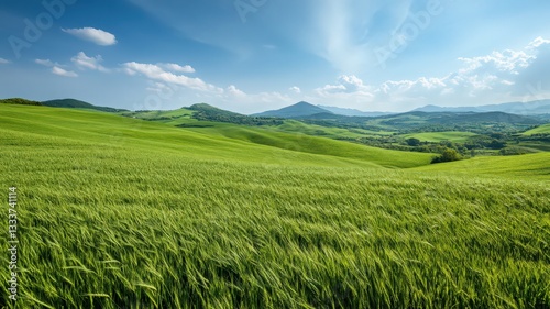 Bright Sunlight on a Vibrant Green Field with Rolling Hills and Distant Mountains