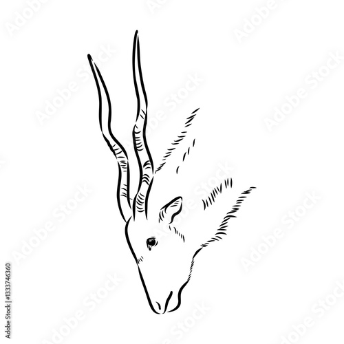 Addax standing sideways sketch, realistic animal monochrome drawing, vintage engraving line art