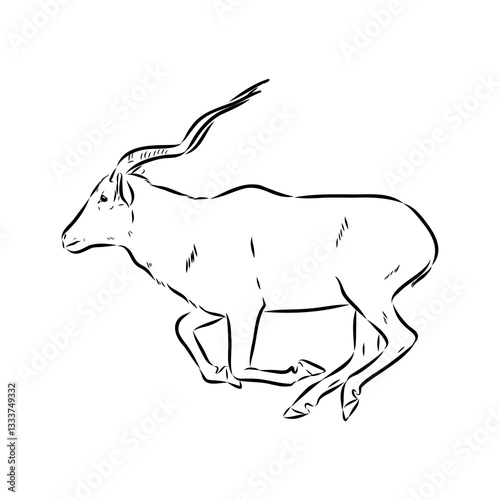 Addax standing sideways sketch, realistic animal monochrome drawing, vintage engraving line art