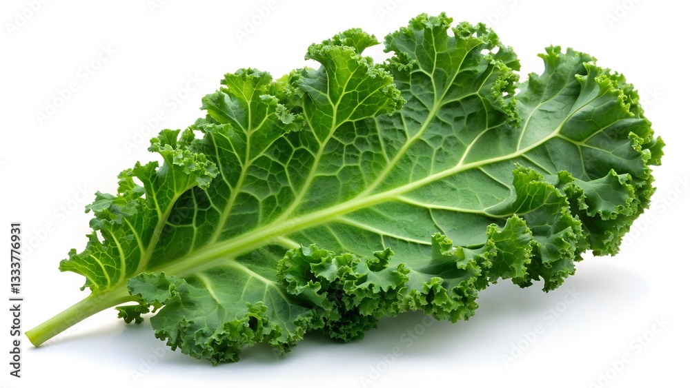 Fototapeta premium fresh lettuce isolated on white