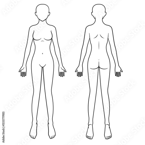 女性の人体図　シェーマ　前面背面