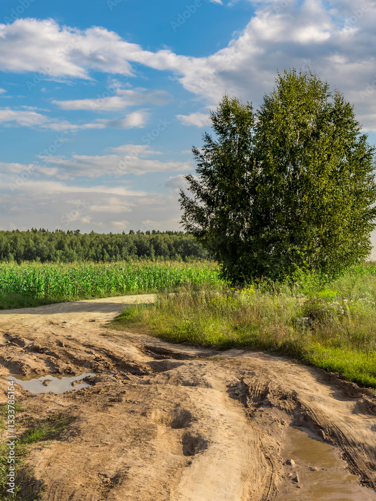 Fototapeta premium Dirt road with a tree in the middle