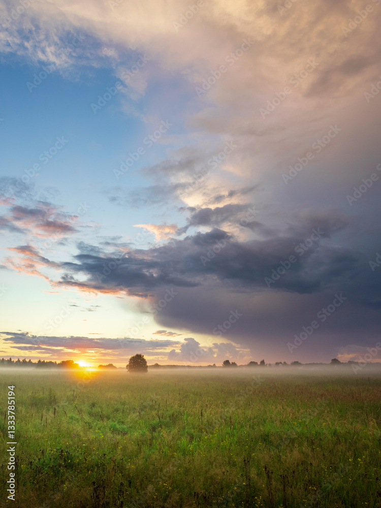 Field with a tree in the foreground and a cloudy sky in the background Field with a tree in the foreground and a cloudy sky in the background
