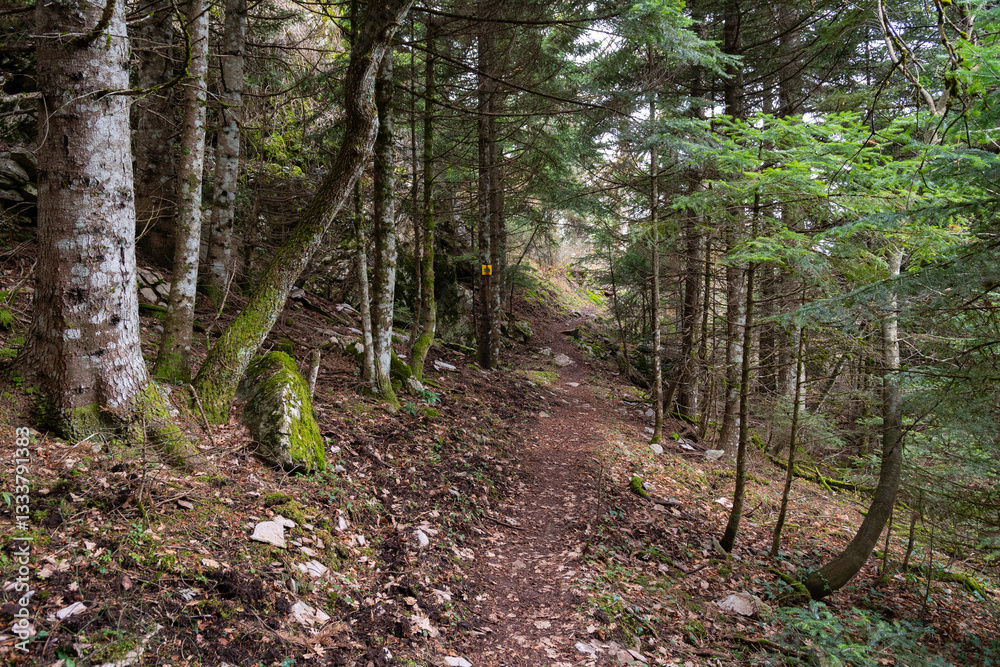 Trail path leading to red rock viewing point above Elati village, Trikala, Greece