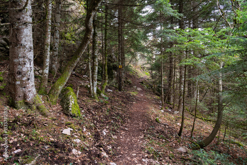 Obraz na płótnie Trail path leading to red rock viewing point above Elati village, Trikala, Greece w salonie