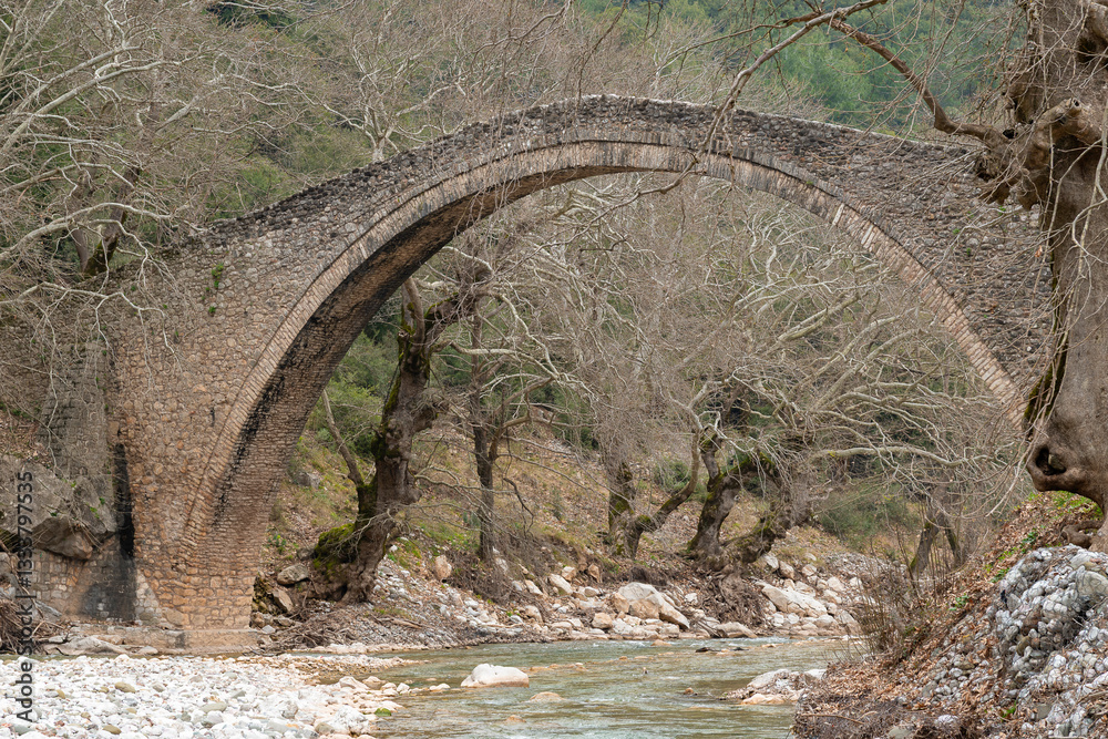 Saint Vissarion stone arched bridge (Porta, Portaikos) near Pyli village, Thessaly, Greece