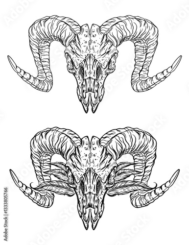 A buffalo bison skull drawing in a tattoo line style, crafted in vector graphics, on a transparent isolated clipart background, perfect for design and creative projects.