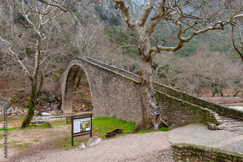 Obraz na płótnie Saint Vissarion stone arched bridge (Porta, Portaikos) near Pyli village, Thessaly, Greece w salonie