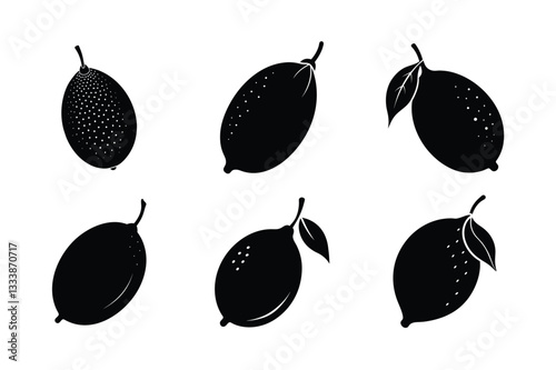 Finger Lime – Citrus australasica silhouette vector illustration