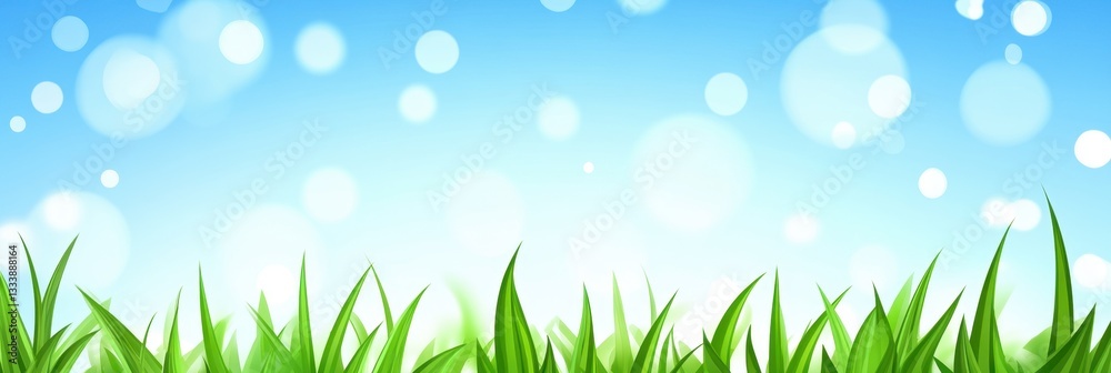 Fototapeta premium Vibrant Green Grass Under a Sunny Sky: A Breathtaking Spring Landscape