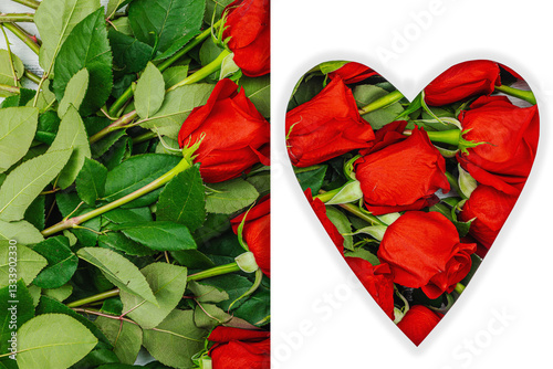 A bouquet of red roses on a white background. Blooming flowers, festive concept for Mother's Day
