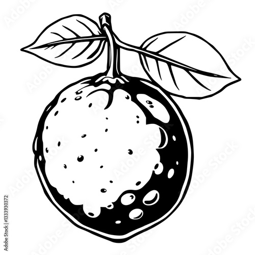 Stylish Black and White Lemon Illustration with Leaves                                              