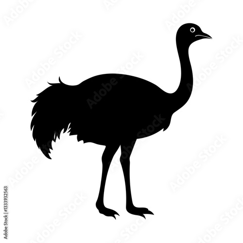ostrich isolated on white background