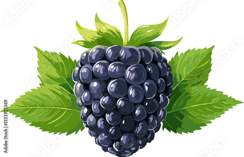 blackberry isolated on white