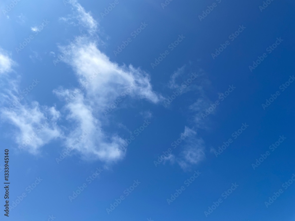 Tropical beach with palm trees. Umbrellas on the beach. Beautiful tropical beach with blue sky and white cloud background. Summer vacation and nature environment concept. Tropical beach with palm trees. Umbrellas on the beach. Beautiful tropical beach with blue sky and white cloud background. Summer vacation and nature environment concept.