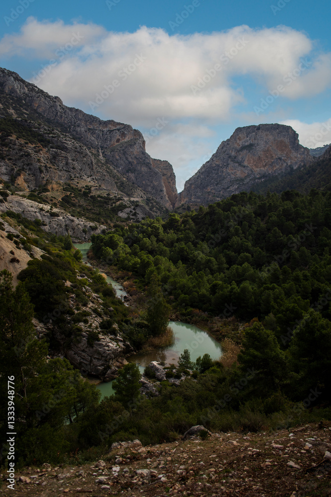 Fototapeta premium river in the mountains