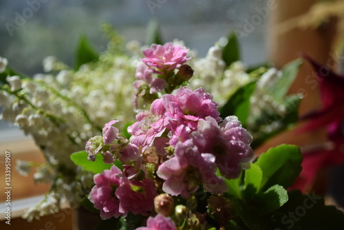 Spring Bouquet of Lilies of the Valley and Pink Flowers by the Window

