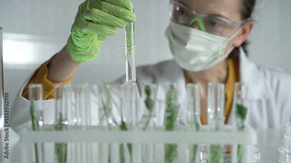 Female scientist wearing a lab coat, green gloves and mask looking to the test tube with plants inside, close up. Science and medicine