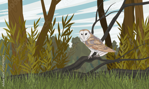 Barn owl sitting on a branch in the forest. Realistic vector landscape