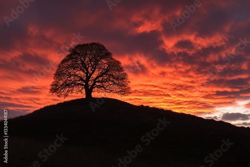 Majestic Sunset Silhouette: A Lone Tree on a Hilltop