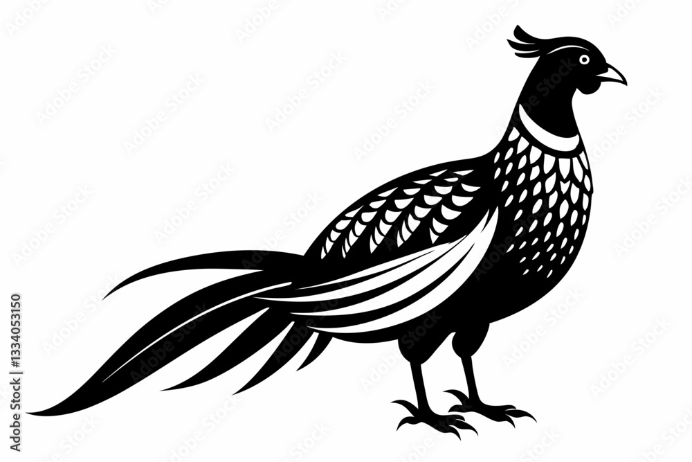 Fototapeta premium pheasant line art silhouette vector illustration
