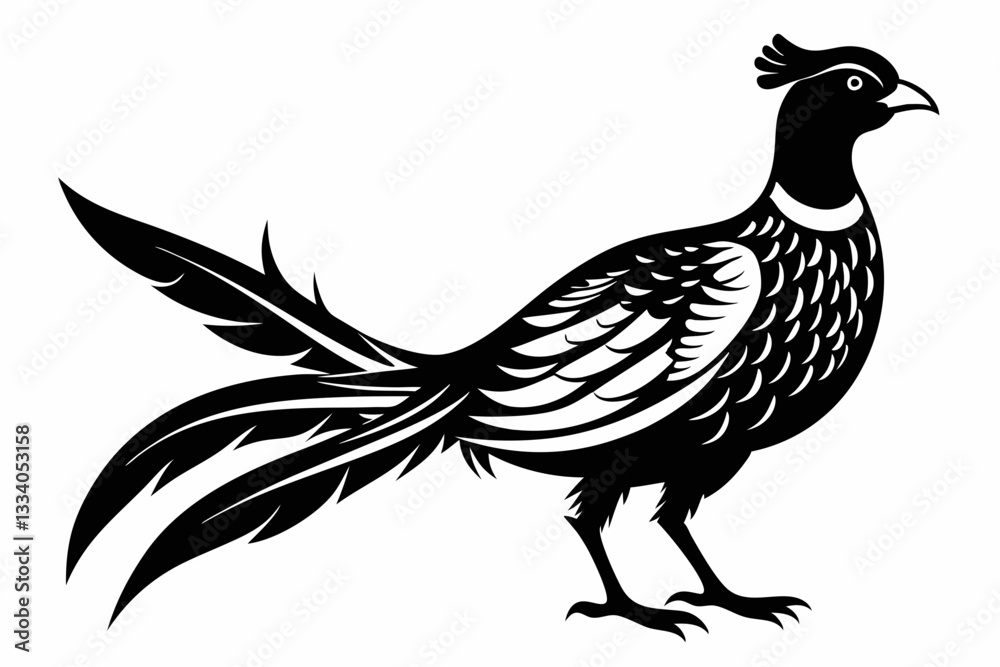 Fototapeta premium pheasant line art silhouette vector illustration