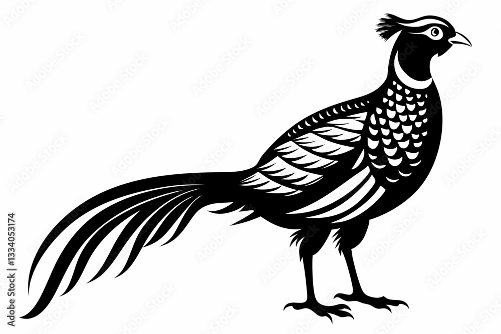 Fototapeta premium pheasant line art silhouette vector illustration
