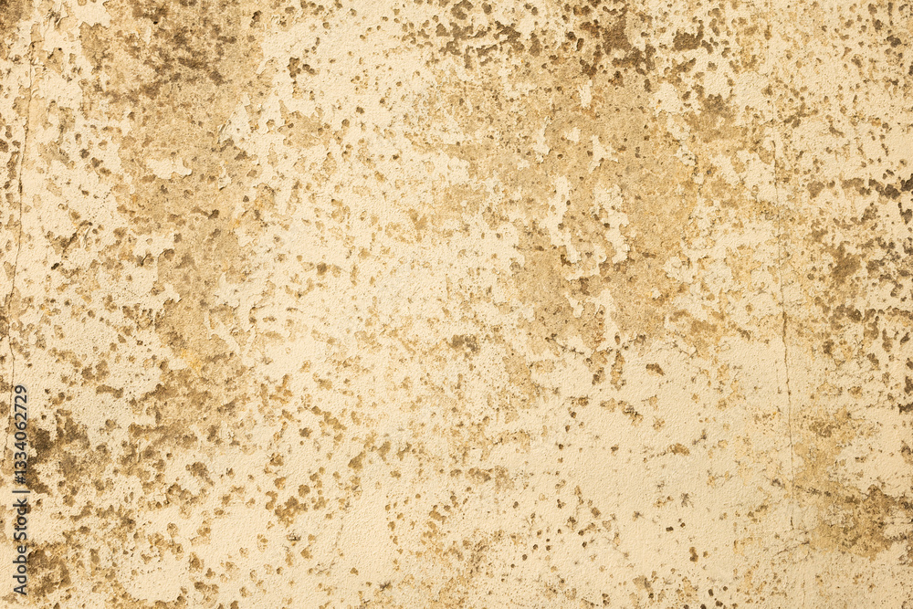 High-resolution rusted surface texture with a distressed, weathered appearance. High-resolution rusted surface texture with a distressed, weathered appearance.