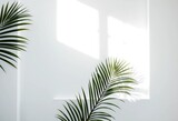 Abstract white wall, soft window shadow, floral palm leaf backdrop for product display, visual, tropical