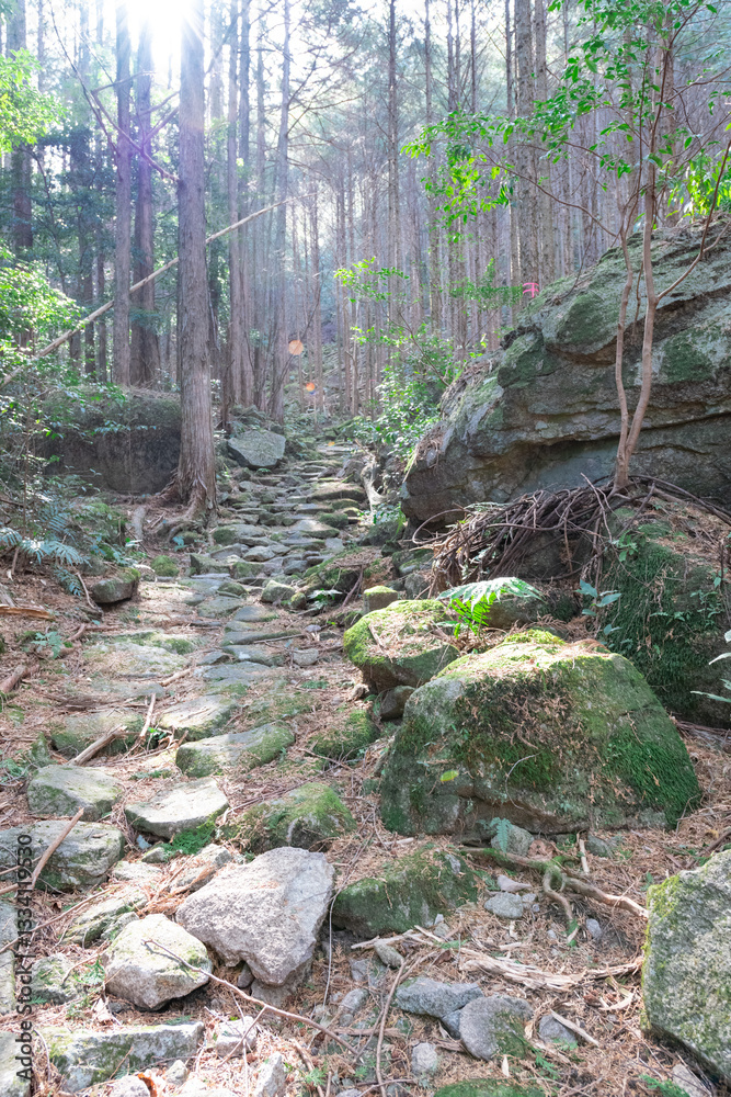 熊野古道伊勢路九鬼峠越え
