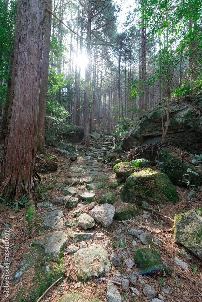 熊野古道伊勢路九鬼峠越え