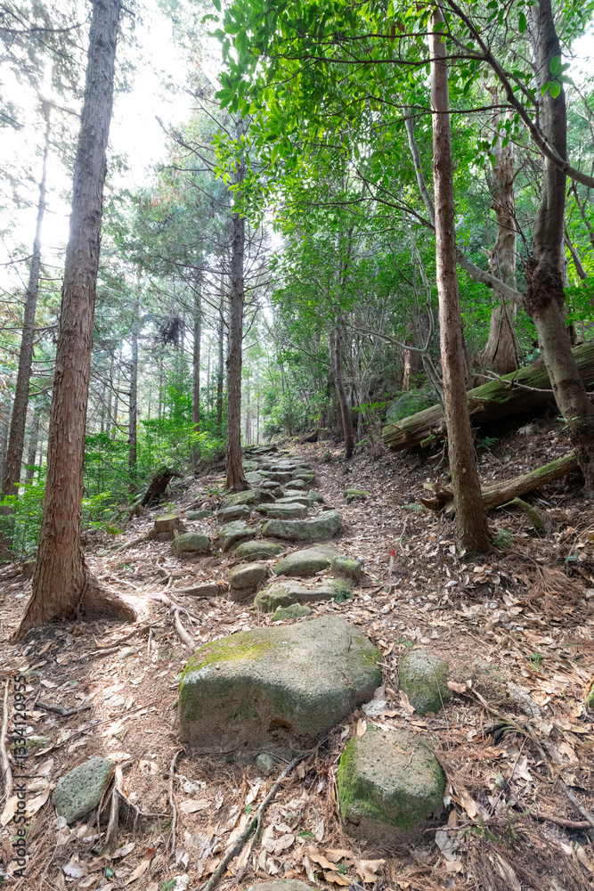 熊野古道伊勢路九鬼峠越え