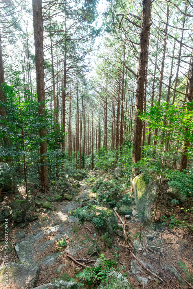熊野古道伊勢路九鬼峠越え