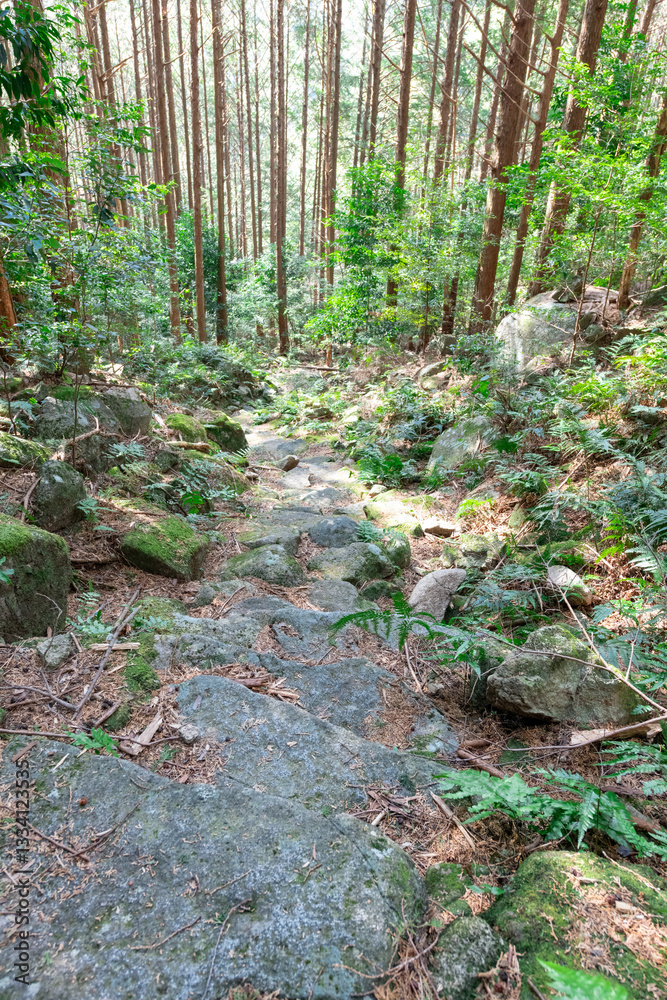 熊野古道伊勢路九鬼峠越え