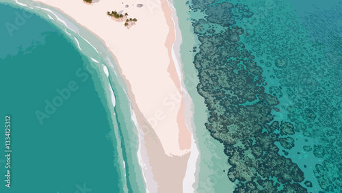 Aerial view of a sandy beach