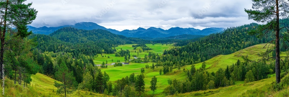 Fototapeta premium Breathtaking green valley surrounded by majestic mountains under a clear blue sky