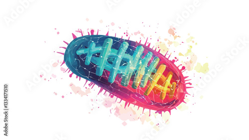 Digital illustration depicting a stylized cell structure. The image showcases a bean-shaped form with internal details rendered in bright, contrasting colors (teal, pink, orange, yellow).  These