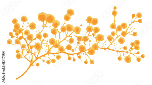 Close-up studio shot of a branch with numerous small, round, bright yellow blossoms against a pure white background.  The branch is detailed, showing individual stems and the spherical shape of the