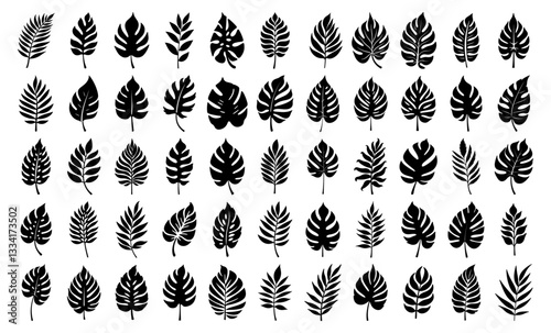 Tropical leaf silhouette collection with monstera, palm, and fern varieties. Black botanical elements for summer, jungle, and exotic design projects