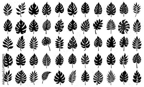 Tropical leaf silhouette collection with monstera, palm, and fern varieties. Black botanical elements for summer, jungle, and exotic design projects